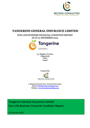 Financial Condition Report (2024)